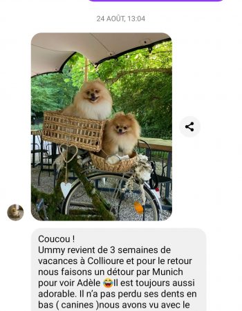 Screenshot_20241212_164523_Messenger