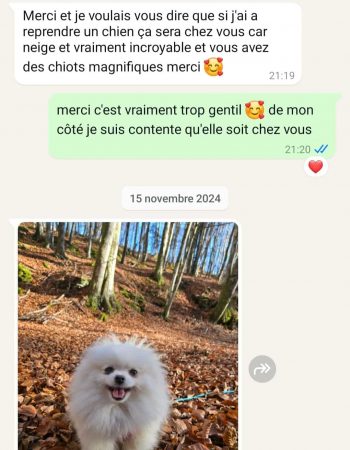 Screenshot_20241212_164813_WhatsApp