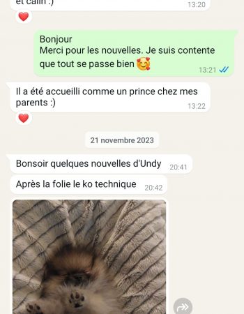 Screenshot_20241212_165059_WhatsApp